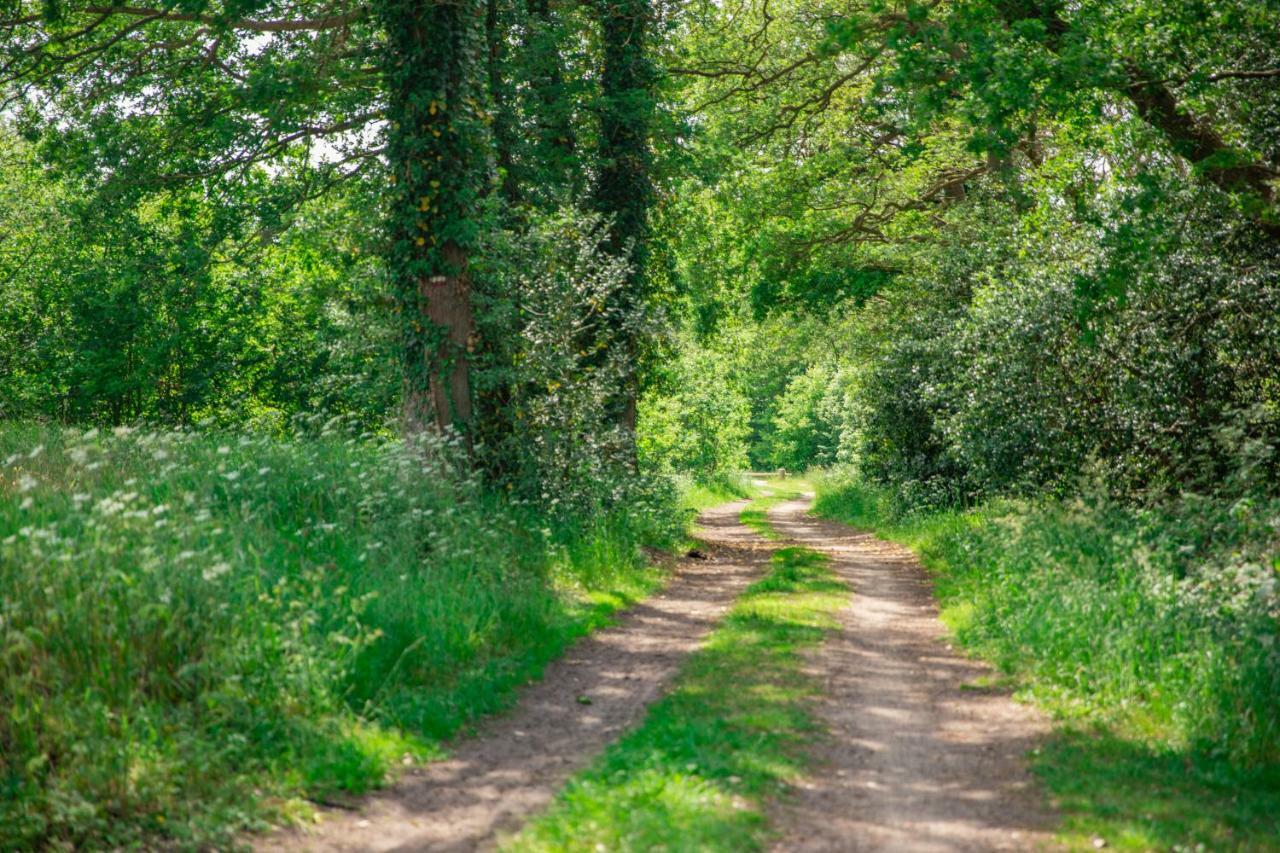 Vakantiepark Westerwolde Pagedal Stadskanaal Zewnętrze zdjęcie